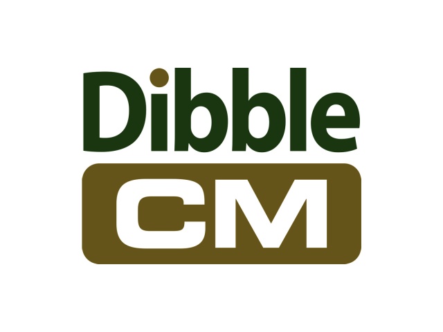 Dibble Construction Management