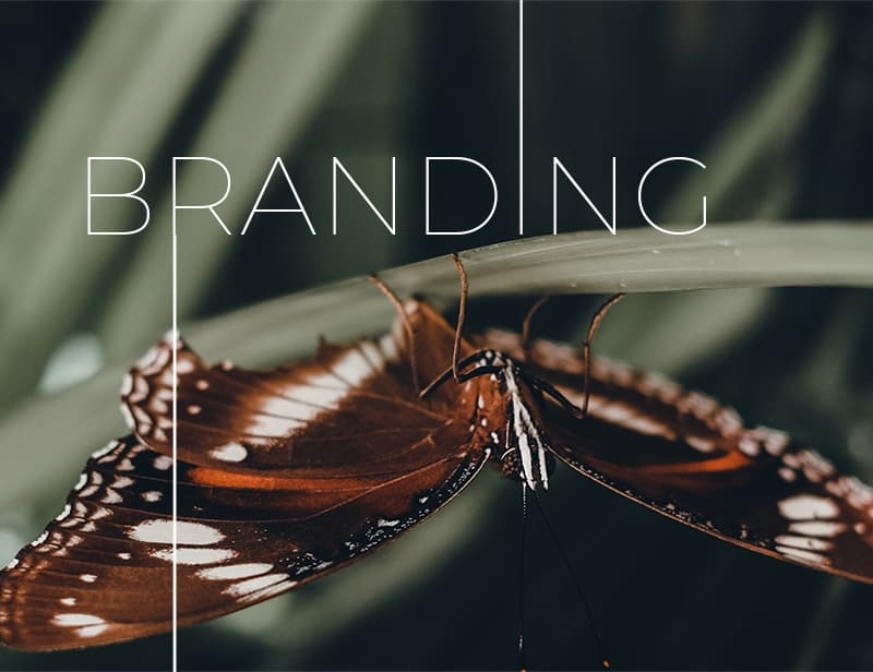20 Year Anniversary - Branding
