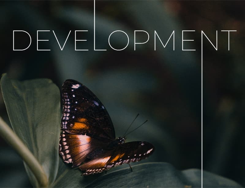 20 Year Anniversary - Web Development